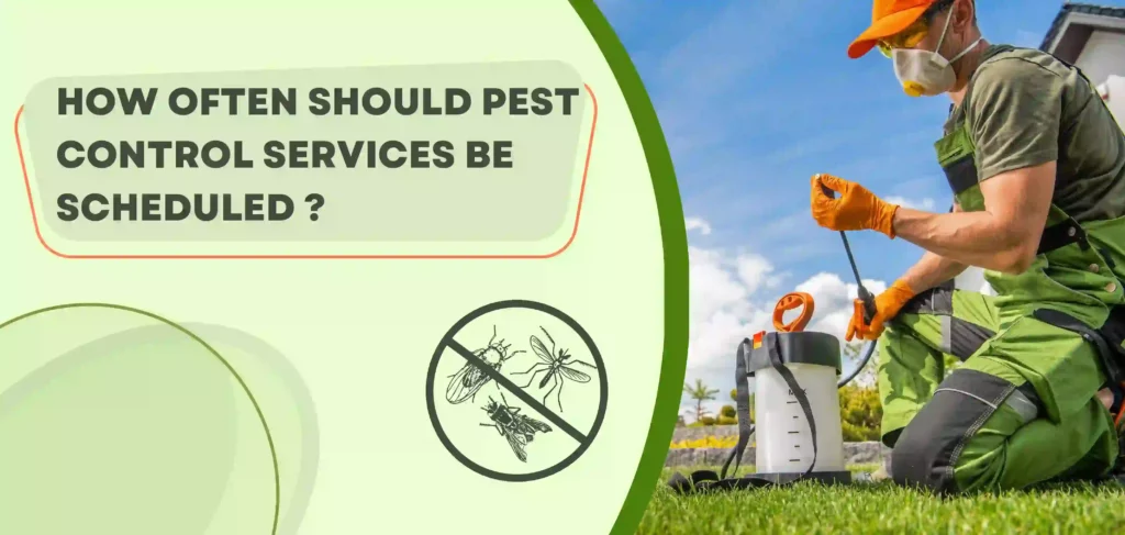 How often should pest control services be scheduled?