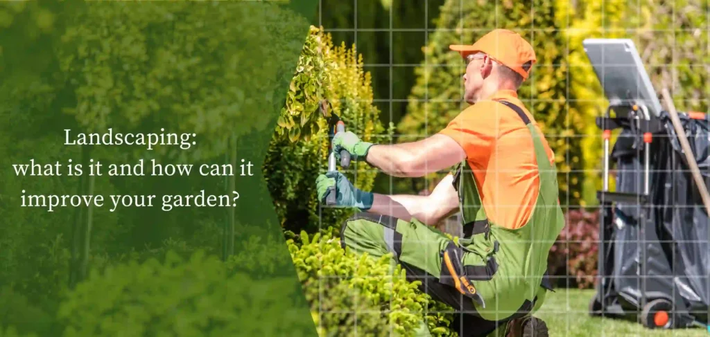 Landscaping: what is it and how can it improve your garden?